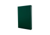 Щоденник недатований, ECONOMIX ALLEGRA, зелений, А5