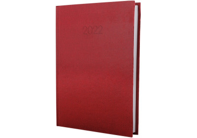 Щоденник датований 2024, SNAKE (ЗМІЯ), червоний, А5