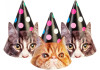 Набір Funny Cats з 6 ковпаків на голову із гумовою стрічкою, дизайни асорті