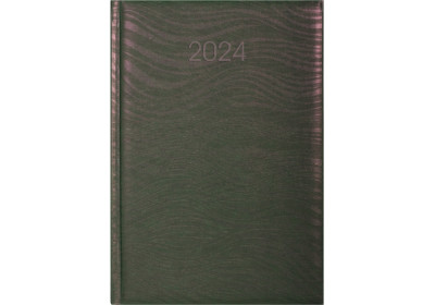 Щоденник датований 2024, SEA, рожево-зелений хамелеон, А5